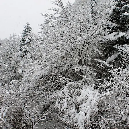 Hotel Le Relais De Piau *